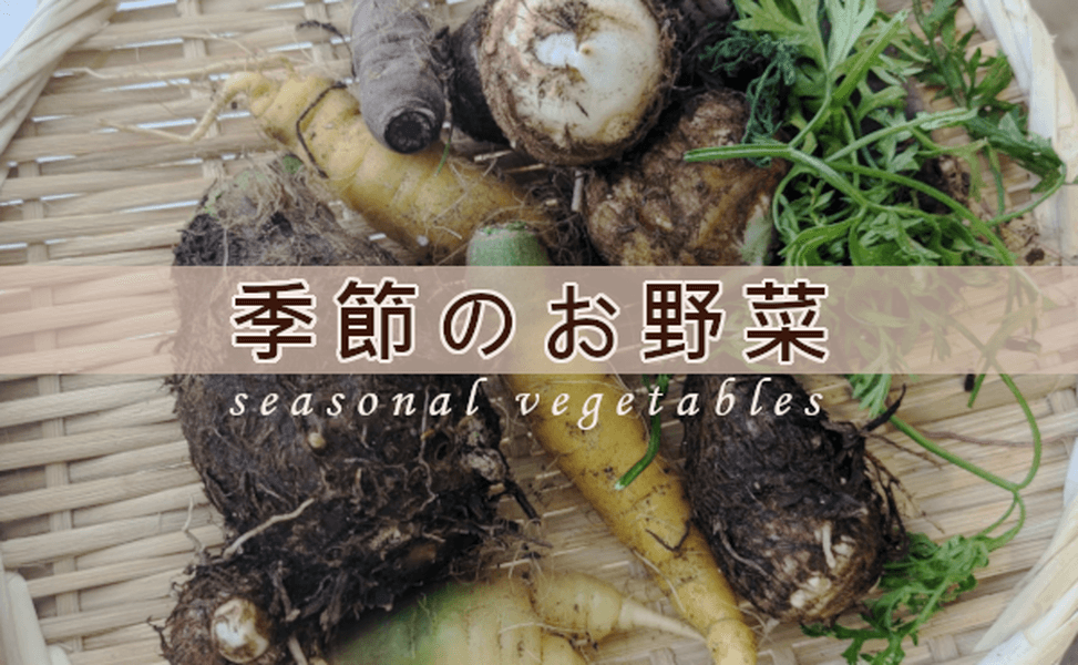 季節のお野菜の売り場