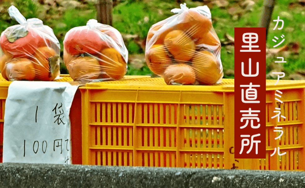 カジュアミネラル里山直売所