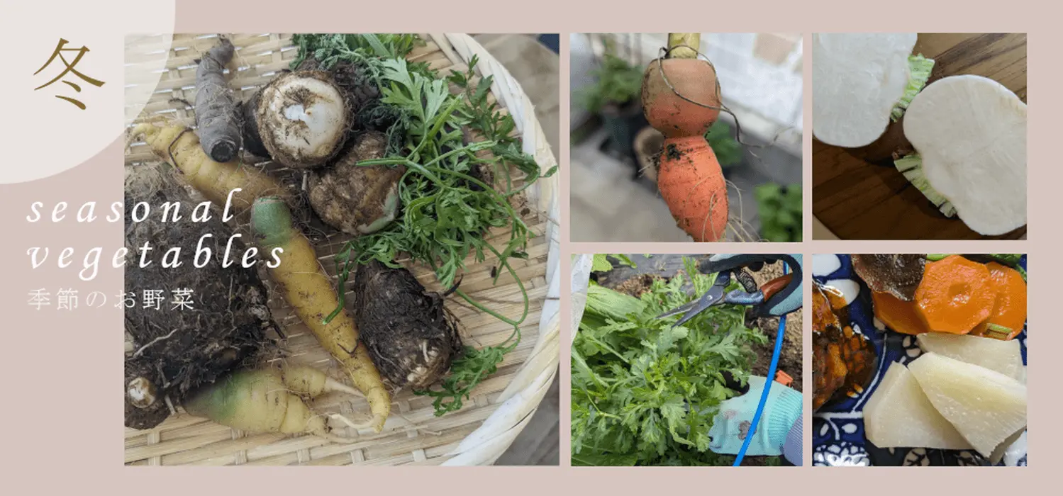 2025-2026年冬野菜チャレンジ
